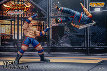 Lade das Bild in den Galerie-Viewer, Vorbestellung: WOLF HAWKFIELD – VIRTUA FIGHTER 5 ACTION FIGURE (UK)
