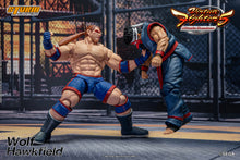 Lade das Bild in den Galerie-Viewer, Vorbestellung: WOLF HAWKFIELD – VIRTUA FIGHTER 5 ACTION FIGURE (UK)