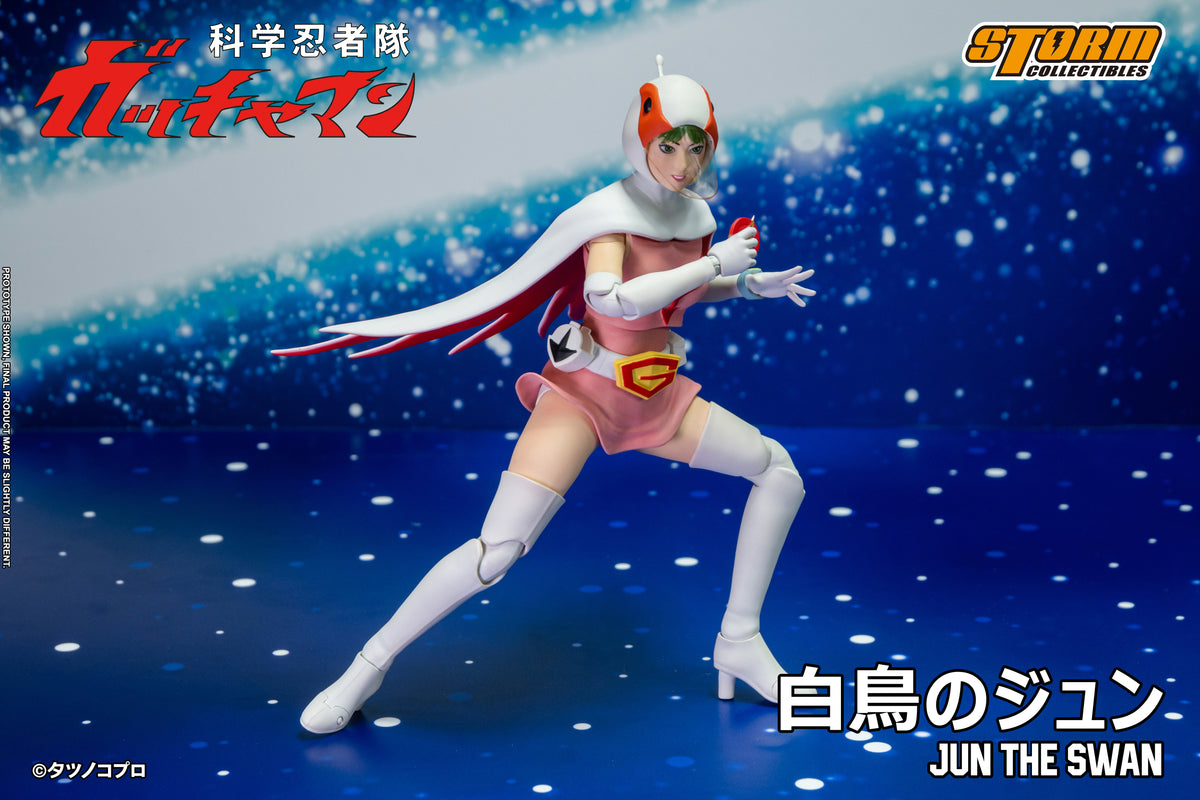 In Stock: JUN THE SWAN G-3 (白鳥のジュン) Action Figure