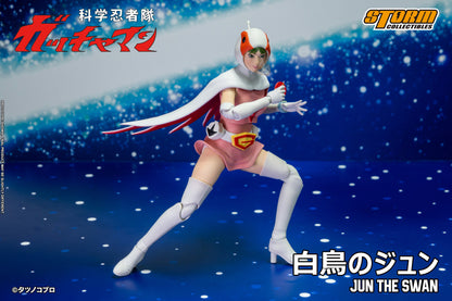 In Stock: JUN THE SWAN G-3 (白鳥のジュン) Action Figure