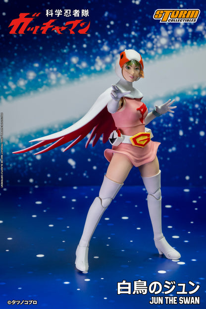 In Stock: JUN THE SWAN G-3 (白鳥のジュン) Action Figure
