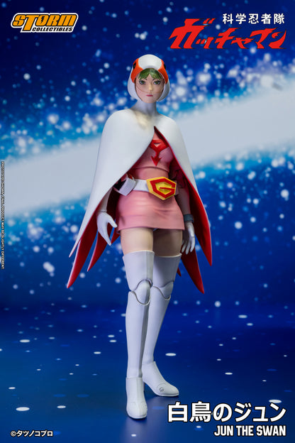 In Stock: JUN THE SWAN G-3 (白鳥のジュン) Action Figure