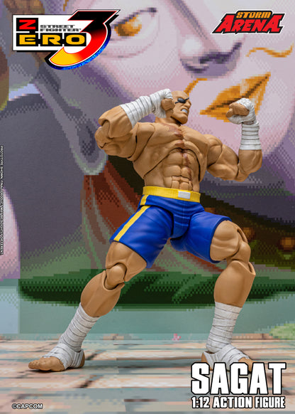 In Stock: SAGAT - STREET FIGHTER ALPHA (ZERO) 3 "STORM ARENA" 1/12 Scale