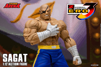 In Stock: SAGAT - STREET FIGHTER ALPHA (ZERO) 3 "STORM ARENA" 1/12 Scale