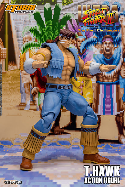 In Stock: T.HAWK - Ultra Street Fighter II The Final Challengers Action Figure