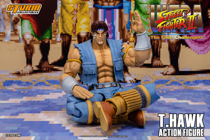 In Stock: T.HAWK - Ultra Street Fighter II The Final Challengers Action Figure