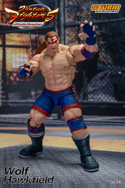 Vorbestellung: WOLF HAWKFIELD – VIRTUA FIGHTER 5 ACTION FIGURE (UK)