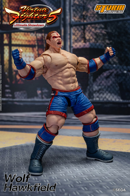 Vorbestellung: WOLF HAWKFIELD – VIRTUA FIGHTER 5 ACTION FIGURE (UK)