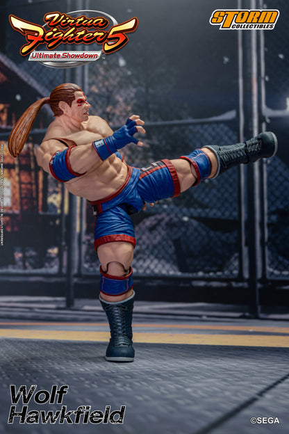 Vorbestellung: WOLF HAWKFIELD – VIRTUA FIGHTER 5 ACTION FIGURE (UK)