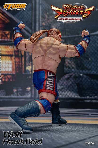 Vorbestellung: WOLF HAWKFIELD – VIRTUA FIGHTER 5 ACTION FIGURE (UK)