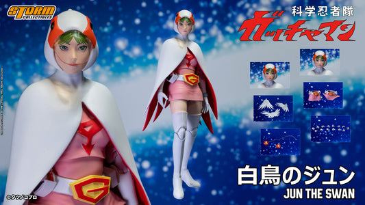 In Stock: JUN THE SWAN G-3 (白鳥のジュン) Action Figure