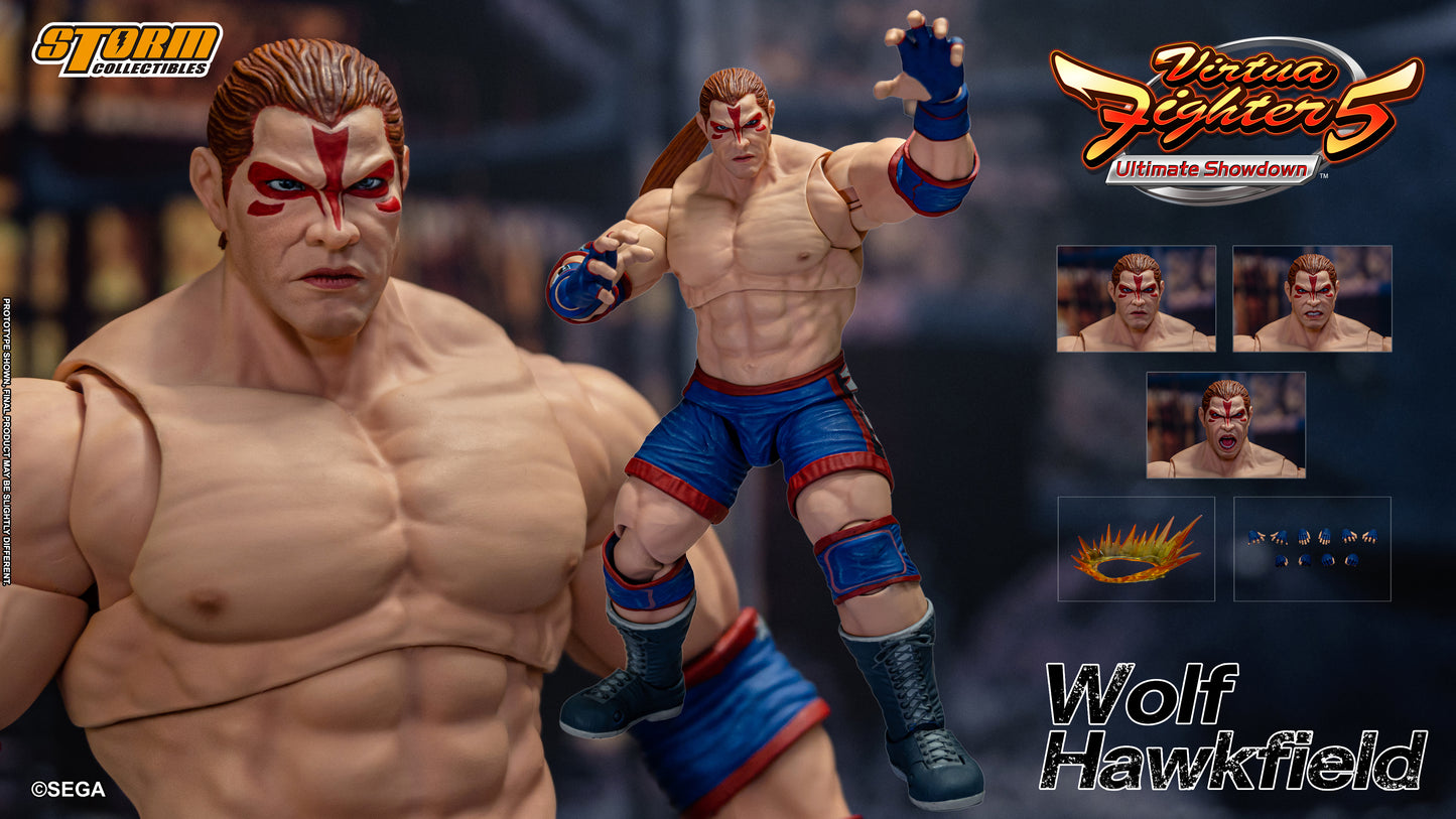 Vorbestellung: WOLF HAWKFIELD – VIRTUA FIGHTER 5 ACTION FIGURE (UK)