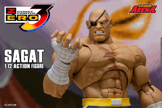 In Stock: SAGAT - STREET FIGHTER ALPHA (ZERO) 3 "STORM ARENA" 1/12 Scale